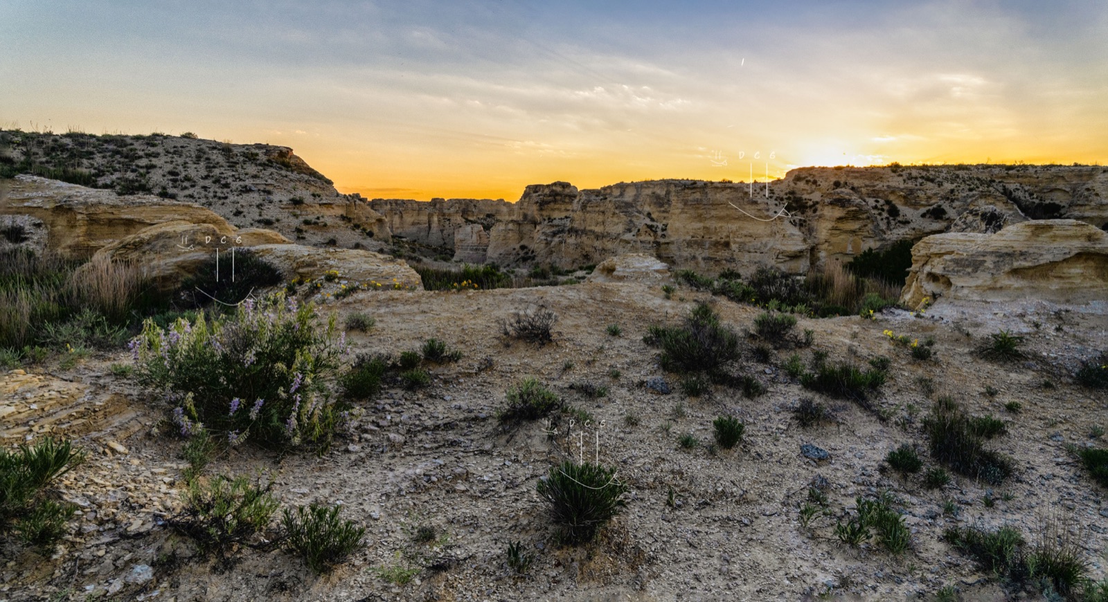 Wildflowers and chalk formations catching the last rays of sunset